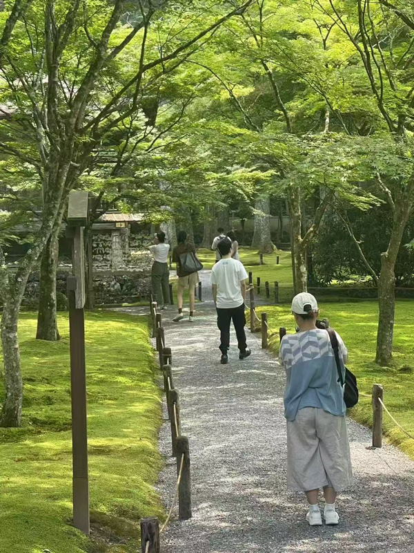 Related media display